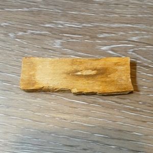 3in Long Piece of Petrified Wood - NY